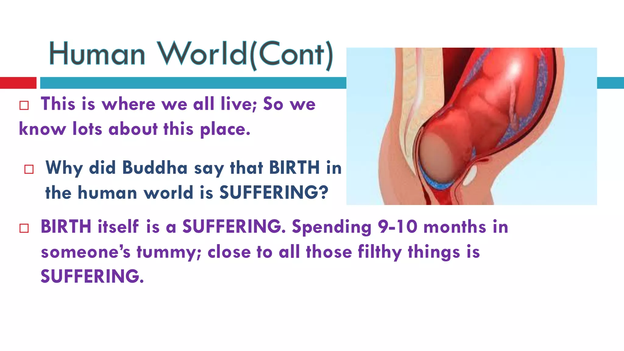  This is where we all live; So we
know lots about this place.
 BIRTH itself is a SUFFERING. Spending 9-10 months in
someone’s tummy; close to all those filthy things is
SUFFERING.
 Why did Buddha say that BIRTH in
the human world is SUFFERING?
 