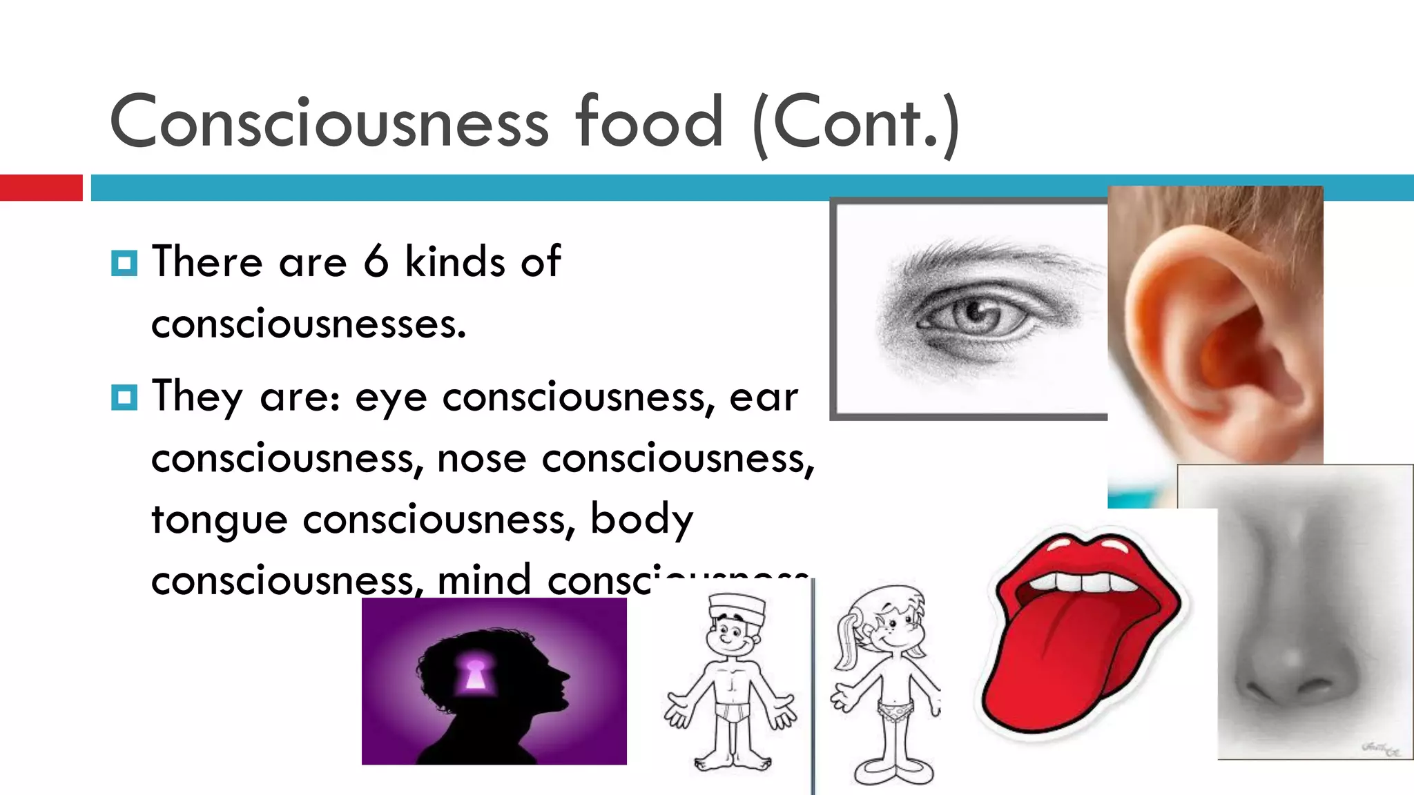 Consciousness food (Cont.)
 There are 6 kinds of
consciousnesses.
 They are: eye consciousness, ear
consciousness, nose consciousness,
tongue consciousness, body
consciousness, mind consciousness
 