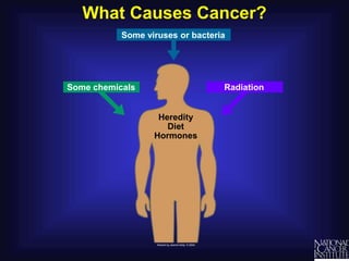 Understanding_Cancer_Teacher_PPT.ppt