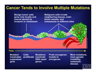 Basics of cancer and its types and its prevention | PDF