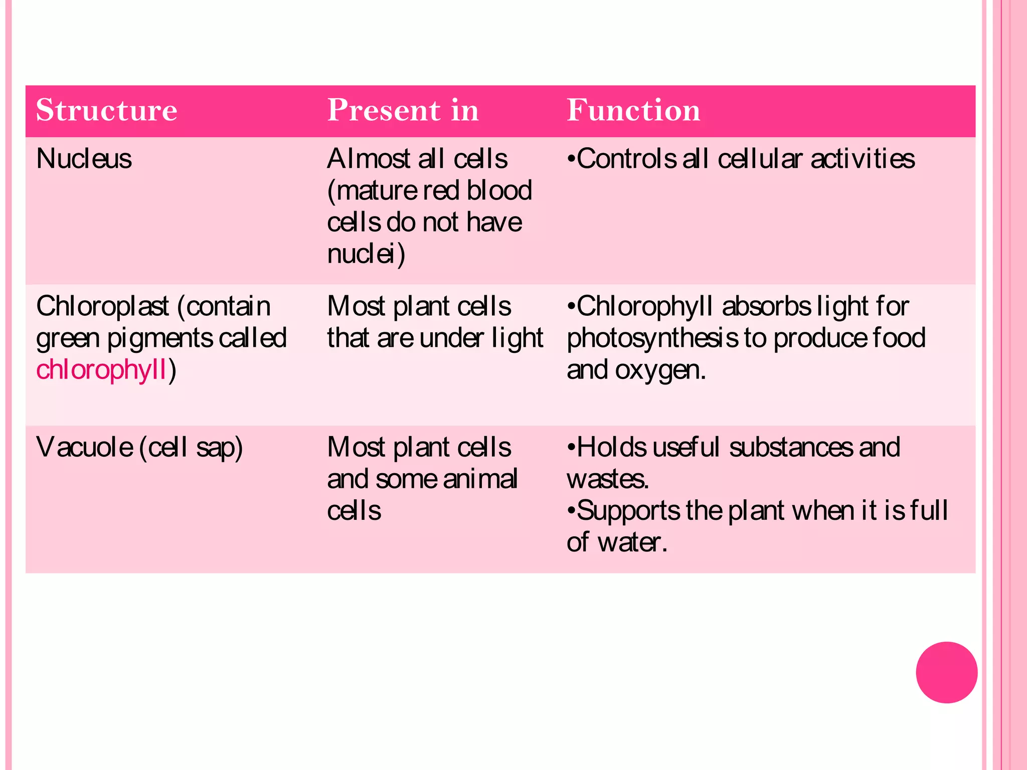 Structure Present in Function
Nucleus Almost all cells
(maturered blood
cellsdo not have
nuclei)
•Controlsall cellular activities
Chloroplast (contain
green pigmentscalled
chlorophyll)
Most plant cells
that areunder light
•Chlorophyll absorbslight for
photosynthesisto producefood
and oxygen.
Vacuole(cell sap) Most plant cells
and someanimal
cells
•Holdsuseful substancesand
wastes.
•Supportstheplant when it isfull
of water.
 