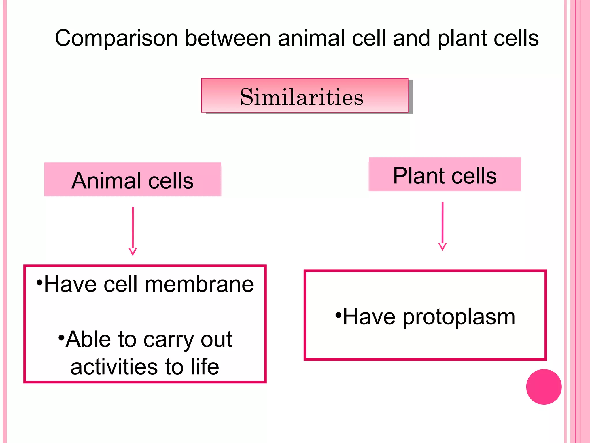 Comparison between animal cell and plant cells
SimilaritiesSimilarities
Animal cells Plant cells
•Have cell membrane
•Able to carry out
activities to life
•Have protoplasm
 