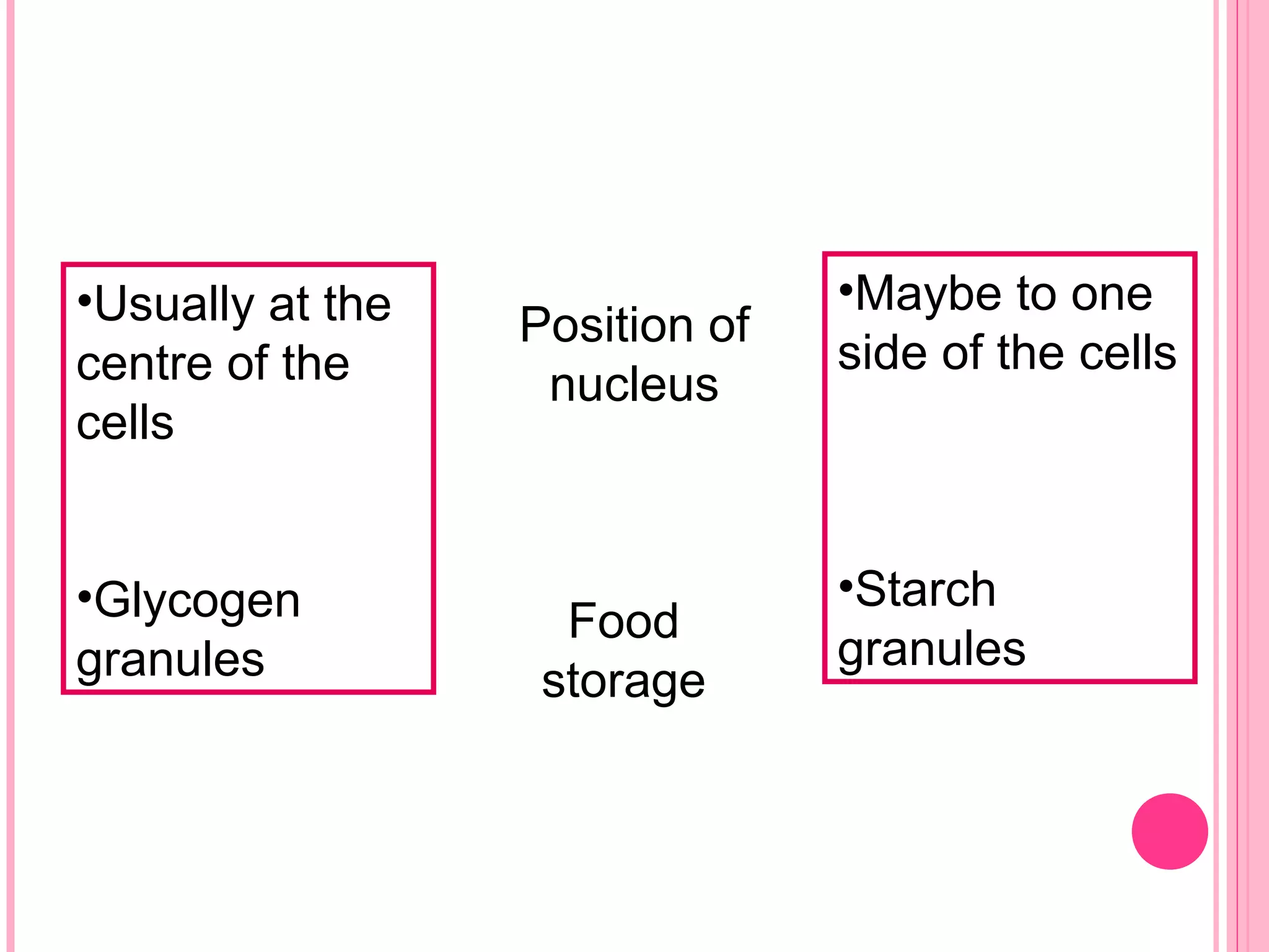•Usually at the
centre of the
cells
•Glycogen
granules
•Maybe to one
side of the cells
•Starch
granules
Position of
nucleus
Food
storage
 