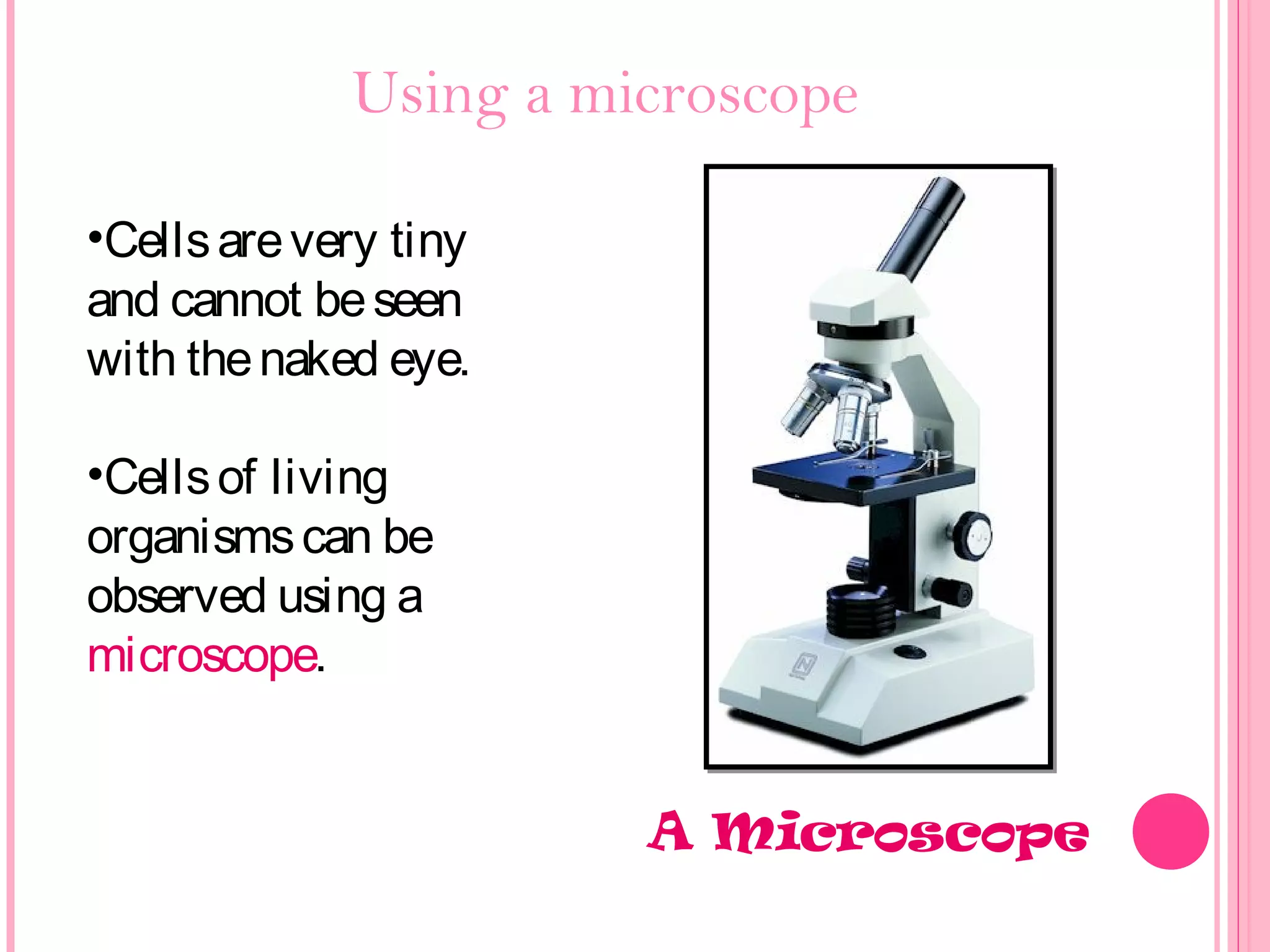 Using a microscope
•Cellsarevery tiny
and cannot beseen
with thenaked eye.
•Cellsof living
organismscan be
observed using a
microscope.
A Microscope
 