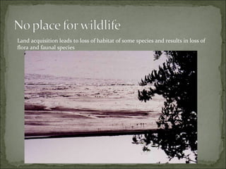 Land acquisition leads to loss of habitat of some species and results in loss of flora and faunal species 
