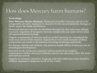 Toxicology:  How Mercury Harms Humans  Elemental (metallic) mercury and all of its compounds are toxic, exposure to excessive levels can permanently damage or fatally injure the brain and kidneys.  Elemental mercury can also be absorbed through the skin and cause allergic reactions. Ingestion of inorganic mercury compounds can cause severe renal and gastrointestinal damage.  Organic compounds of mercury such as methyl mercury are considered the most toxic forms of the element. Exposures to very small amounts of these compounds can result in devastating neurological damage and death.  For fetuses, infants and children, the primary health effects of mercury are on neurological development.  Even low levels of mercury exposure such as result from mother's consumption methyl mercury in dietary sources can adversely affect the brain and nervous system.  Impacts on memory, attention, language and other skills have been found in children exposed to moderate levels in the womb.  