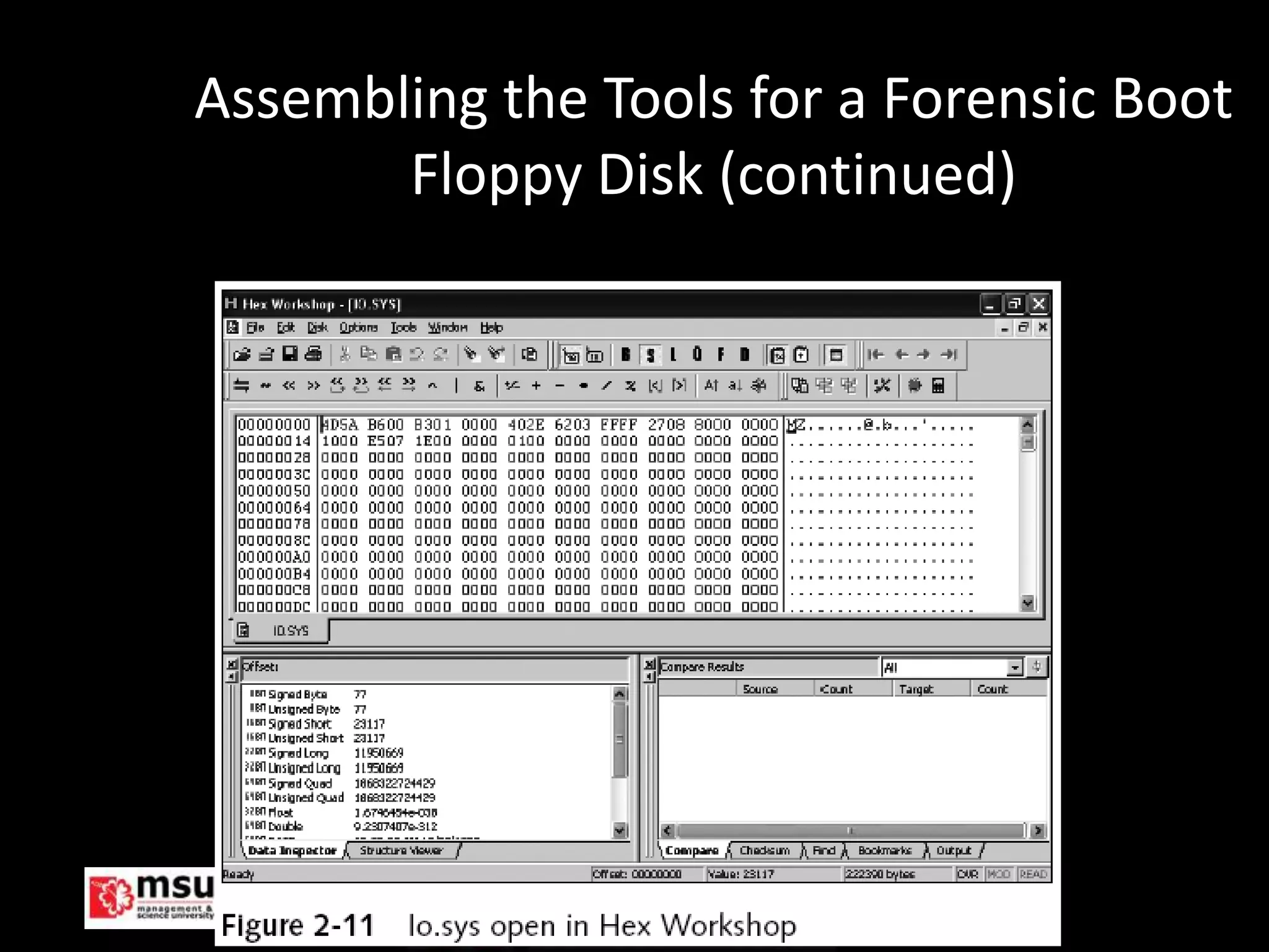 Assembling the Tools for a Forensic Boot
       Floppy Disk (continued)




 Management & Science University      © FISE
 