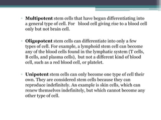 Adult stem cells
• Adult stem cells are undifferentiated cells found
  among specialised (differentiated) cells in a
  tis...