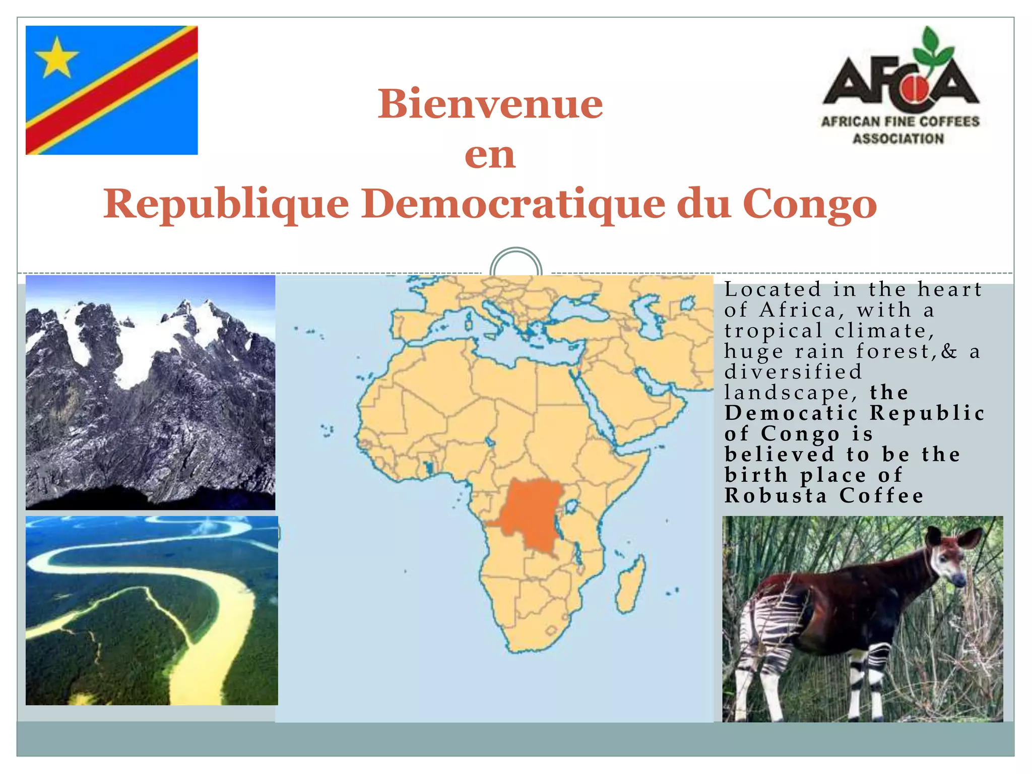 Understanding congo's coffee ; the RDC coffee county profile | PPT