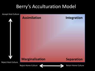 Understanding Cross Cultural Adjustment And Acculturation Theories