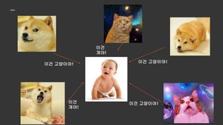 ???
당연히 혼돈스럽습니다.
 