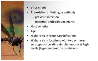 • Virus strain
• Pre-existing anti-dengue antibody
   – previous infection
   – maternal antibodies in infants
• Host genetics
• Age
• Higher risk in secondary infections
• Higher risk in locations with two or more
  serotypes circulating simultaneously at high
  levels (hyperendemic transmission)
 