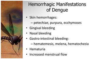 Hemorrhagic Manifestations
        of Dengue
• Skin hemorrhages:
   – petechiae, purpura, ecchymoses
• Gingival bleeding
• Nasal bleeding
• Gastro-intestinal bleeding:
   – hematemesis, melena, hematochezia
• Hematuria
• Increased menstrual flow
 