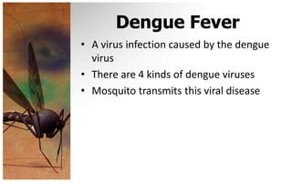 Dengue Fever
• A virus infection caused by the dengue
  virus
• There are 4 kinds of dengue viruses
• Mosquito transmits this viral disease
 