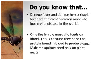 Do you know that…
• Dengue fever and dengue hemorrhagic
  fever are the most common mosquito-
  borne viral disease in the world.

• Only the female mosquito feeds on
  blood. This is because they need the
  protein found in blood to produce eggs.
  Male mosquitoes feed only on plant
  nectar.
 