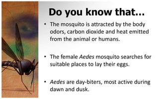 Do you know that…
• The mosquito is attracted by the body
  odors, carbon dioxide and heat emitted
  from the animal or humans.

• The female Aedes mosquito searches for
  suitable places to lay their eggs.

• Aedes are day-biters, most active during
  dawn and dusk.
 