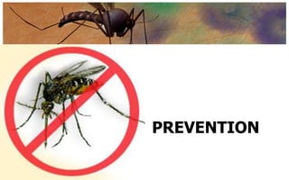 PREVENTION
 