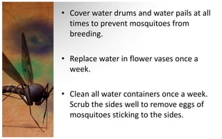 • Cover water drums and water pails at all
  times to prevent mosquitoes from
  breeding.

• Replace water in flower vases once a
  week.

• Clean all water containers once a week.
  Scrub the sides well to remove eggs of
  mosquitoes sticking to the sides.
 