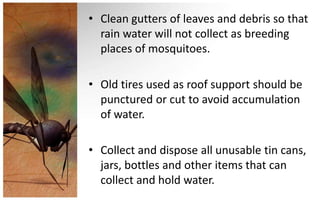 • Clean gutters of leaves and debris so that
  rain water will not collect as breeding
  places of mosquitoes.

• Old tires used as roof support should be
  punctured or cut to avoid accumulation
  of water.

• Collect and dispose all unusable tin cans,
  jars, bottles and other items that can
  collect and hold water.
 