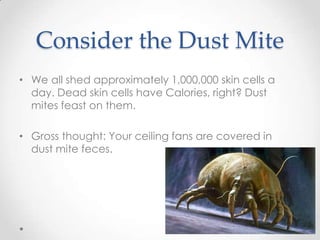Consider the Dust Mite
• We all shed approximately 1,000,000 skin cells a
day. Dead skin cells have Calories, right? Dust
mites feast on them.
• Gross thought: Your ceiling fans are covered in
dust mite feces.

 