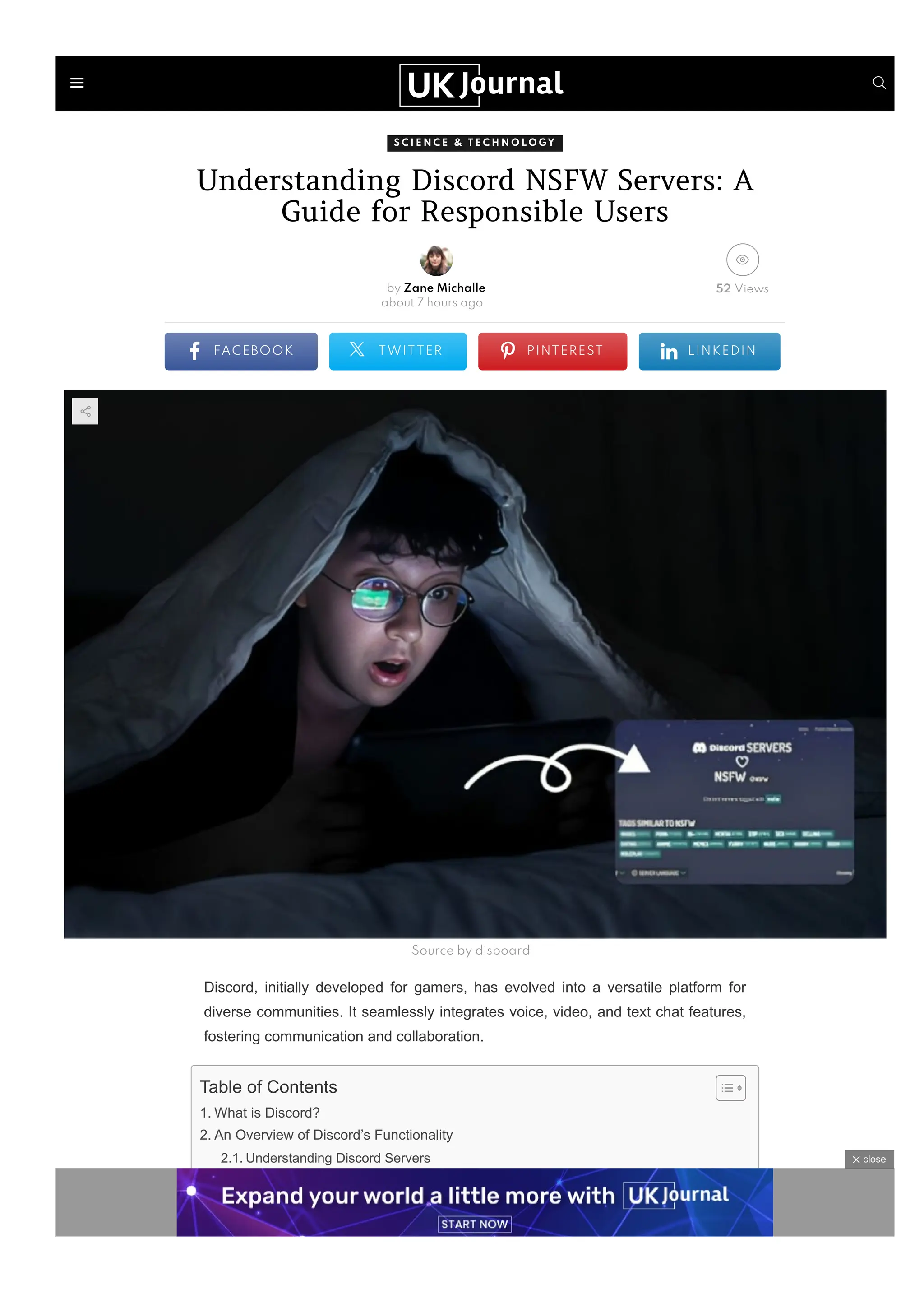 Understanding The Vietbunny Discord Leak - 5rxjndk