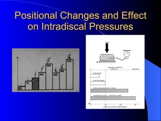 Understanding disorders of the spine| anatomy of the spine | chronic ...