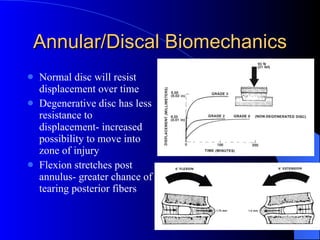 Understanding disorders of the spine| anatomy of the spine | chronic ...