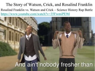 The Story of Watson, Crick, and Rosalind Franklin
Rosalind Franklin vs. Watson and Crick – Science History Rap Battle
https://www.youtube.com/watch?v=35FwmiPE9tI
 