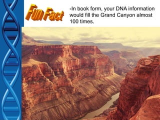 -In book form, your DNA information
would fill the Grand Canyon almost
100 times.
 