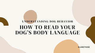 HOW TO READ YOUR
DOG’S BODY LANGUAGE
UNDERSTANDING DOG BEHAVIOR
SLANEYSIDE
 