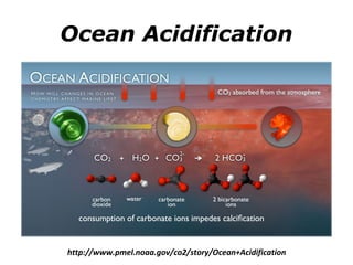 Ocean Acidification 
http://www.pmel.noaa.gov/co2/story/Ocean+Acidification 
 