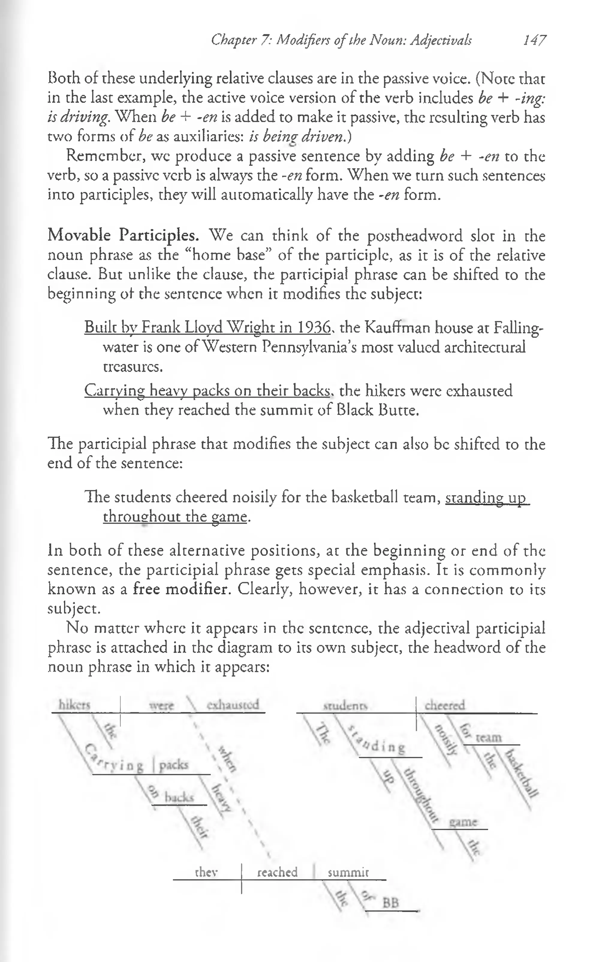 Chapter 7: Modifiers o fihe Noun: Adjectivals 147
Both of these underlying relative clauses are in the passive voice. (Note that
in the last example, the active voice version of the verb includes be + -ing:
is driving. When be + -en is added to make it passive, the resulting verb has
two forms of be as auxiliaries: is being- driven.)
Remember, wc produce a passive sentence by adding be + -en to the
verb, so a passive verb is always the -en form. When we turn such sentences
into participles, they will automatically have the -en form.
Movable Participles. We can think of the postheadword slot in the
noun phrase as the “home base” of the participic, as it is of the relative
clause. But unlike the clause, the participial phrase can be shifted to the
beginning of the sentence when it modifies the subject:
Built by Frank Lloyd Wright in 1936. the Kauffman house at Falling-
water is one of Western Pennsylvania’s most valued architectural
treasures.
Carrying heavy packs on their backs, the hikers were exhausted
when they reached the summit of Black Butte.
The participial phrase that modifies the subject can also be shifted to the
end of the sentence:
The students cheered noisily for the basketball team, standing up
throughout the game.
In both of these alternative positions, at the beginning or end of the
sentence, the participial phrase gets special emphasis. It is commonly
known as a free modifier. Clearly, however, it has a connection to its
subject.
No matter where it appears in the sentence, the adjectival participial
phrase is attached in the diagram to its own subject, the headword of the
noun phrase in which it appears:
rhev reached summit
 
