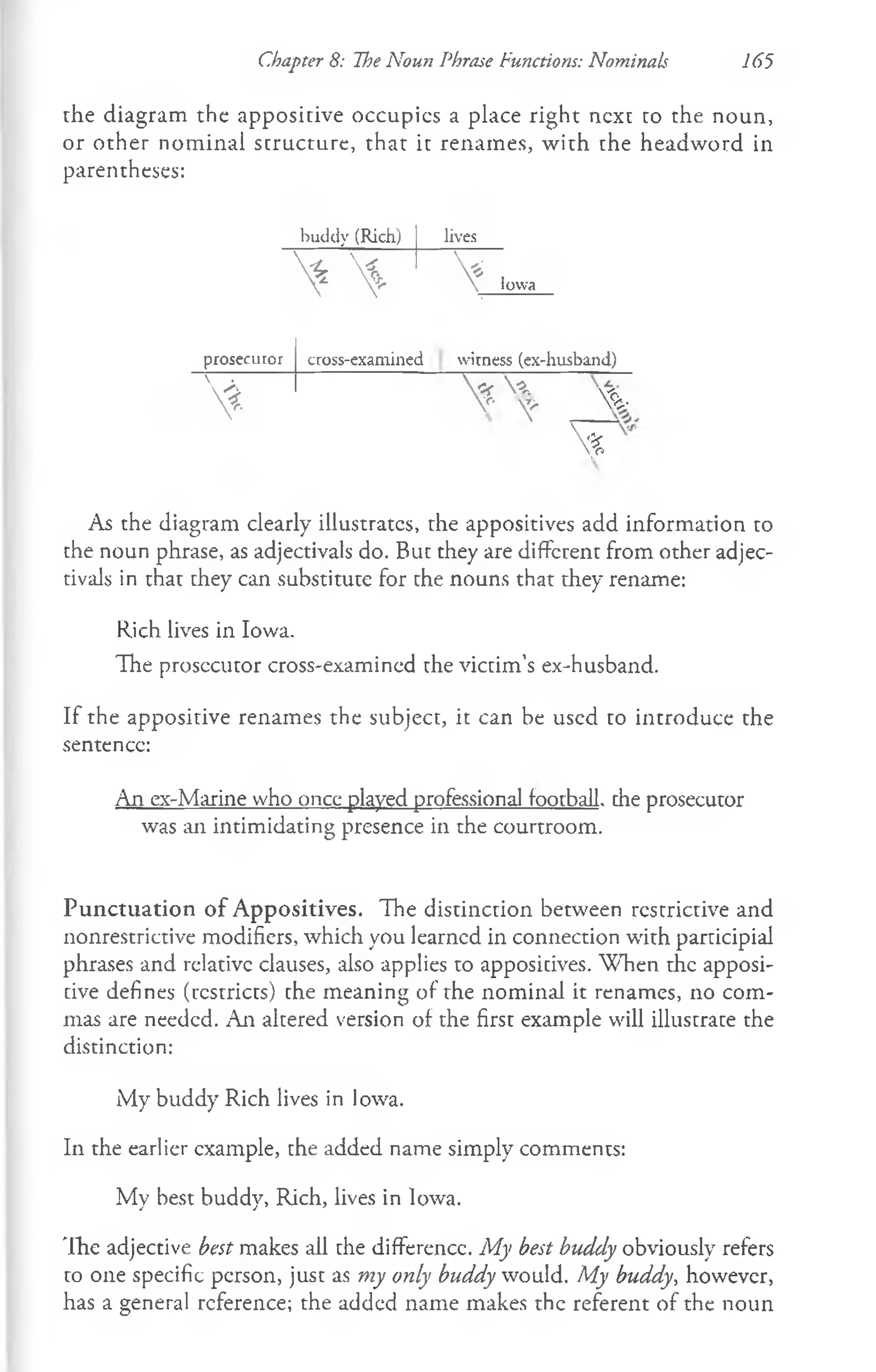 the diagram the appositive occupics a place right next to the noun,
or other nominal structure, that it renames, w ith the headword in
parentheses:
Chapter 8: The Noun Phrase functions: Nominals 165
buddy (Rich) lives
   Iowa
prosecuror cross-examined witness (ex-husband)
%  c f A,
V ' v > V i -
X v —
N
f
c
As the diagram clearly illustrates, the appositives add information to
the noun phrase, as adjectivals do. But they are different from other adjec­
tivals in that they can substitute for the nouns that they rename:
Rich lives in Iowa.
The prosccutor cross-examined the victim’s ex-husband.
If the appositive renames the subject, it can be used to introduce the
sentence:
An ex-Marine who once played professional football, the prosecutor
was an intimidating presence in the courtroom.
Punctuation of Appositives. The distinction between restrictive and
nonrestrictive modifiers, which you learned in connection with participial
phrases and relative clauses, also applies to appositives. W hen the apposi­
tive defines (restricts) the meaning of the nominal it renames, no com­
mas are needed. An altered version of the first example will illustrate the
distinction:
My buddy Rich lives in Iowa.
In the earlier example, the added name simply comments:
My best buddy, Rich, lives in Iowa.
Ih e adjective best makes all the difference. My best buddy obviously refers
to one specific person, just as my only buddy would. My buddy., however,
has a general reference; the added name makes the referent of the noun
 