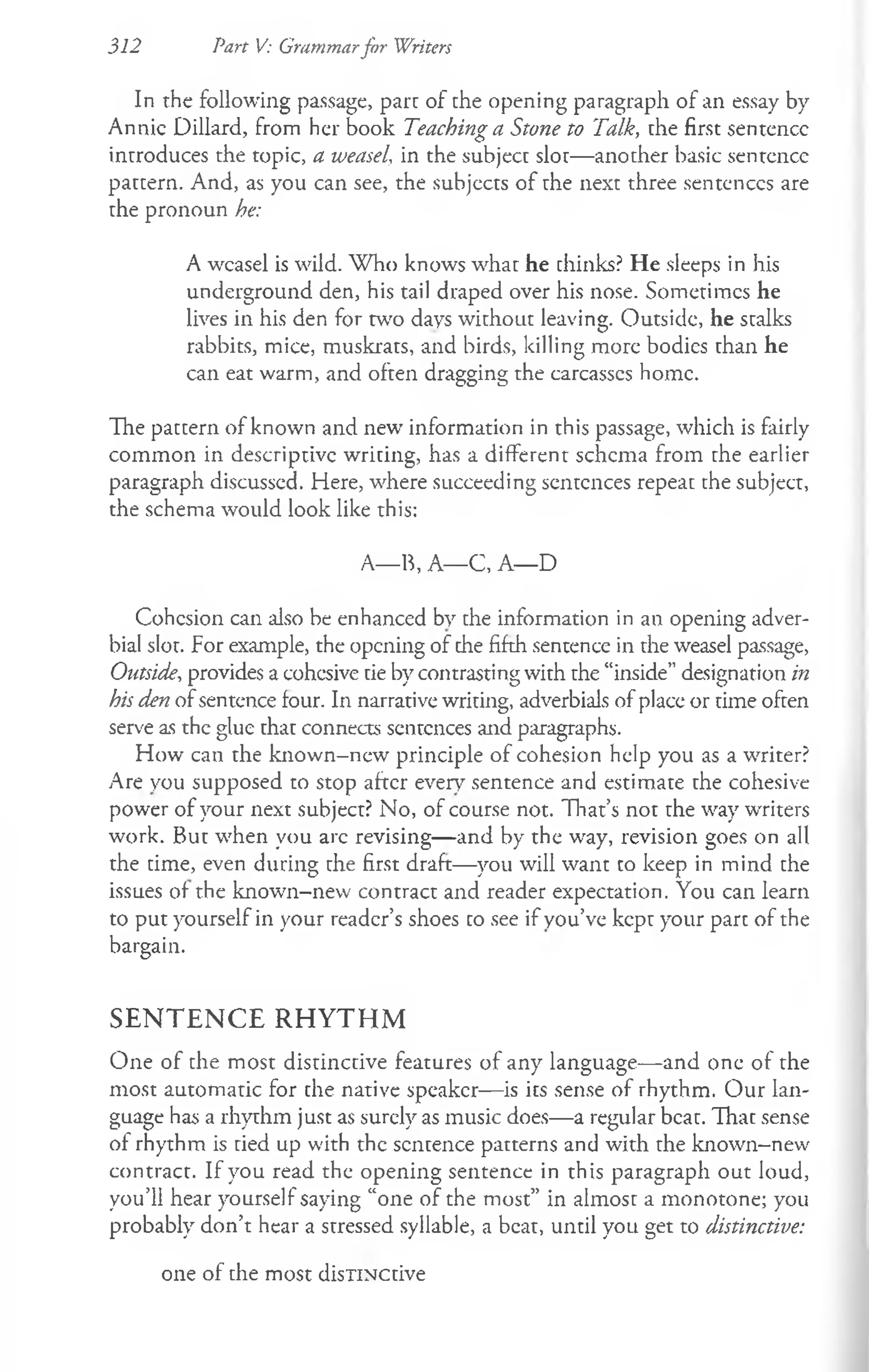 312 Part V: Grammarfor Writers
In the following passage, pare of che opening paragraph of an essay by
Annie Dillard, from her book Teaching a Stone to Talk, che first sentence
introduces the topic, a weasel, in the subject sloe— anocher basic sentence
patcern. And, as you can see, the subjects of the next three sentences are
the pronoun he:
A weasel is wild. W ho knows whac he chinks? He sleeps in his
underground den, his tail draped over his nose. Sometimes he
lives in his den for two days without leaving. Outside, he stalks
rabbits, mice, muskrats, and birds, killing more bodies than he
can eat warm, and often dragging the carcasses home.
The paccern of known and new information in this passage, which is fairly
common in descriptive writing, has a different schema from che earlier
paragraph discussed. Here, where succeeding senccnces repeac che subject,
the schema would look like this:
A— B, A— C, A— D
Cohesion can also be enhanced by che information in an opening adver­
bial slot. For example, the opening of che fifth sentence in the weasel passage,
Outside, provides a cohcsive tie by contrasting with the “inside” designation in
his den of sentence four. In narrative writing, adverbials of place or time ofcen
serve as the glue chac connects sentences and paragraphs.
How can the known—
new principle of cohesion help you as a writer?
Are you supposed to stop after every sentence and estimate the cohesive
power of your next subject? No, of course not. That’s not the way writers
work. But when you arc revising— and by the way, revision goes on all
the cime, even during che first draft— you will want co keep in mind che
issues of the known-new contract and reader expectation. You can learn
to put yourself in your reader’s shoes co see if you’ve kept your pare of the
bargain.
S E N T E N C E R H Y T H M
One of che most distinctive features of any language— and one of the
most automatic for che native speaker— is ics sense of rhythm. Our lan­
guage has a rhythm just as surely as music does— a regular beat. Thac sense
of rhythm is cied up with the sentence patterns and with the known-new
contract. If you read the opening sentence in this paragraph out loud,
you’ll hear yourself saying “one of the most” in almost a monotone; you
probably don’t hear a stressed syllable, a beat, until you get to distinctive:
o n e o f ch e m o s t d isT iN C d v e
 