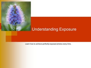 Understanding Exposure
Learn how to achieve perfectly-exposed photos every time.
 