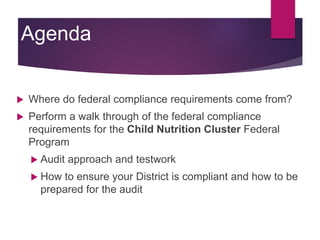 Federal Programs Examples Understanding Federal Programs from an Auditor Perspective | PDF