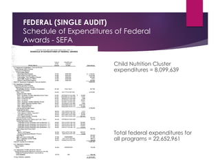 Understanding Federal Programs from an Auditor Perspective | PDF