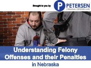 Petersen Criminal Defense Law 12020 Shamrock Plaza, Suite 200 Omaha, NE 68154 Phone: (402) 509-8070
 