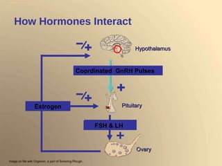 How Hormones Interact Hypothalamus Pituitary Ovary Coordinated  GnRH Pulses Image on file with Organon, a part of Schering-Plough. FSH & LH Estrogen 