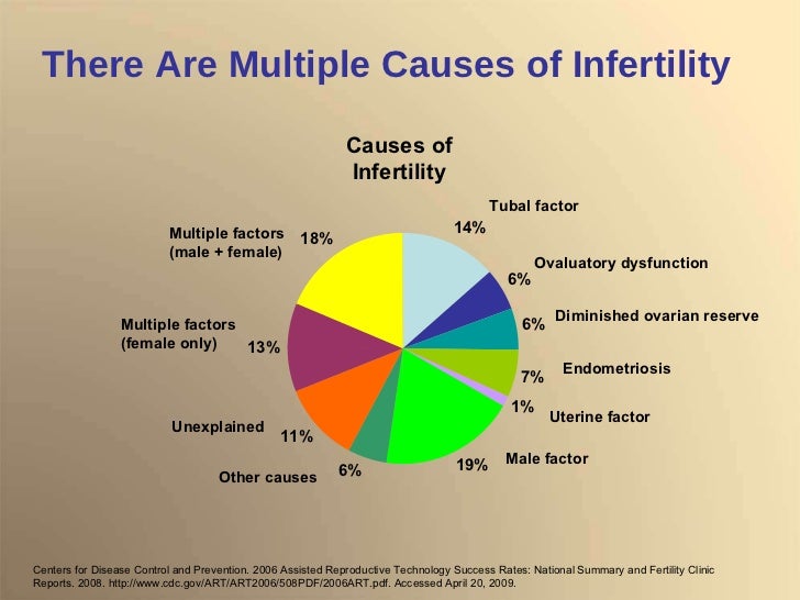 Understanding Infertility, Evaluations, and Treatment Options