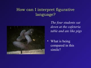 How can I interpret figurative
language?
The four students sat
down at the cafeteria
table and ate like pigs
• What is being
compared in this
simile?
 