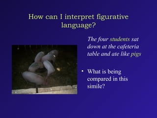 How can I interpret figurative
language?
The four students sat
down at the cafeteria
table and ate like pigs
• What is being
compared in this
simile?
 
