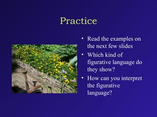 Practice
• Read the examples on
the next few slides
• Which kind of
figurative language do
they show?
• How can you interpret
the figurative
language?
 