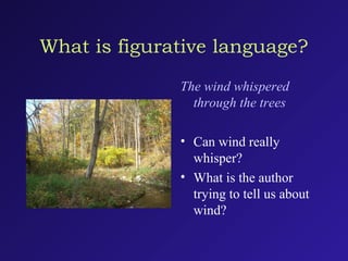 What is figurative language?
The wind whispered
through the trees
• Can wind really
whisper?
• What is the author
trying to tell us about
wind?
 