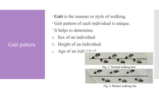 Gait pattern
 Gait is the manner or style of walking.
 Gait pattern of each individual is unique.
 It helps to determine:
a. Sex of an individual
b. Height of an individual
c. Age of an individual
Fig. 3. Normal walking line
Fig. 4. Broken walking line
 