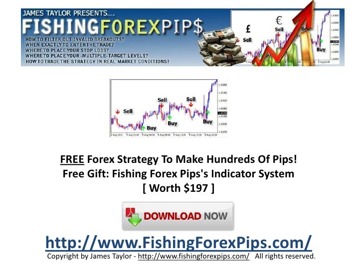 101 forex brokers