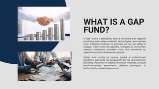 Understanding Gap Funds Bridging the Innovation Valley of Death.pdf