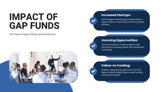 Understanding Gap Funds Bridging the Innovation Valley of Death.pdf