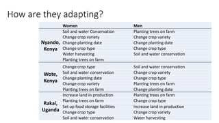 Understanding gender and climate change 