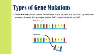 Same Sense Mutation Example Understanding Gene Mutations: How DNA Changes Impact Health and Traits ...